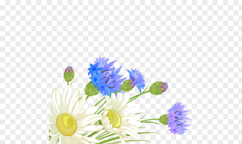 Flower Blue Cut Flowers Chrysanthemum Floral Design PNG