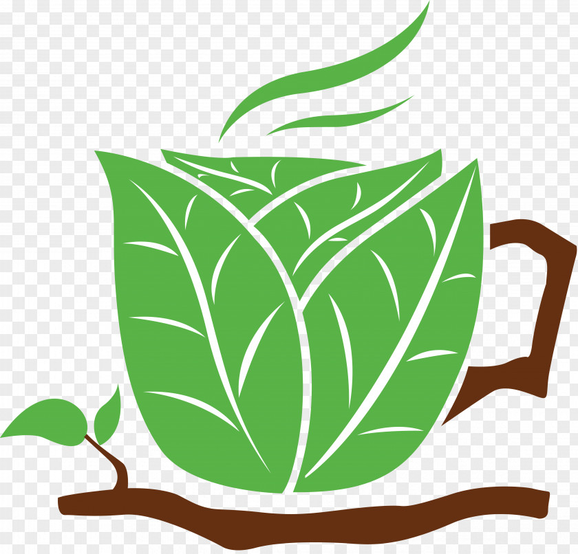 Green Tea Coffee Cup Cafe PNG