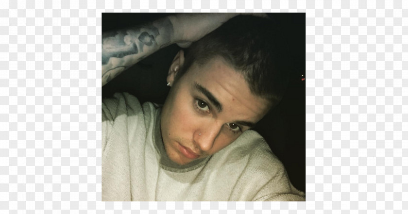 Justin Bieber Hairstyle Buzz Cut Celebrity Dreadlocks PNG