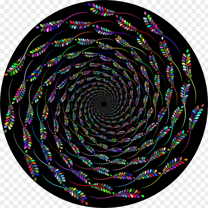 Concentric Clip Art PNG