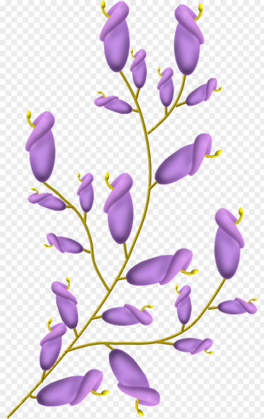 Flower Purple Clip Art PNG