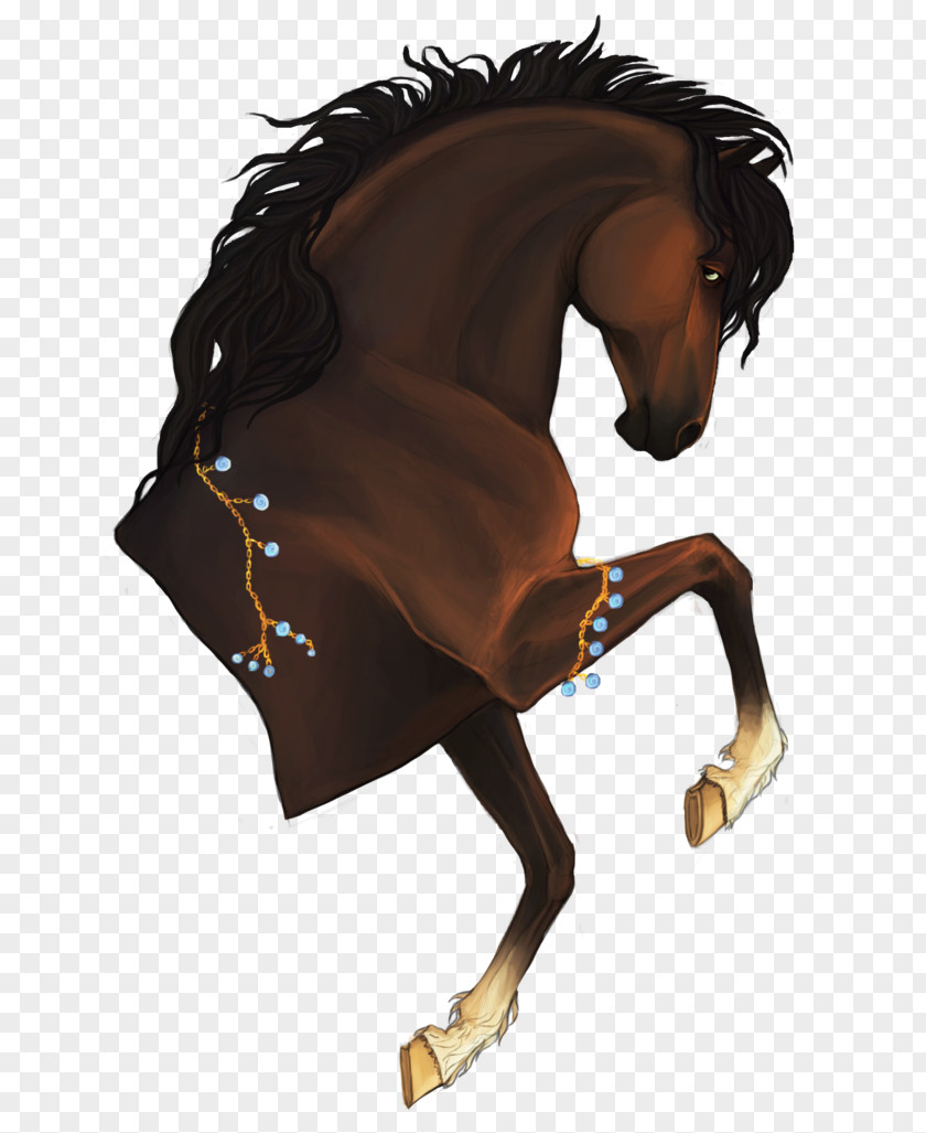 Mustang Rein Mane Pony Stallion PNG