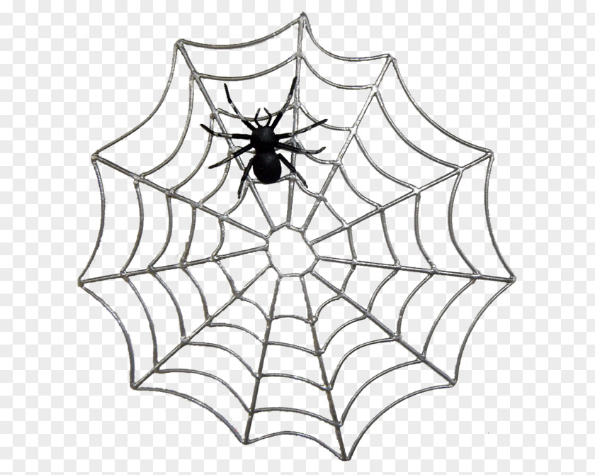 Spider Web Royalty-free PNG
