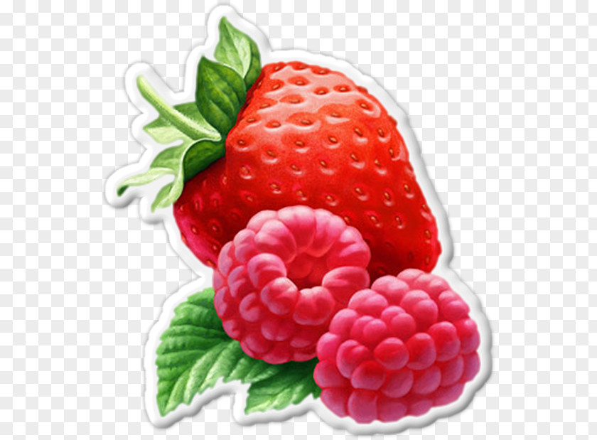 Strawberry Raspberry Caribbean Cuisine Indian Clip Art PNG