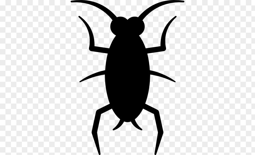 Cockroach Insect Clip Art PNG