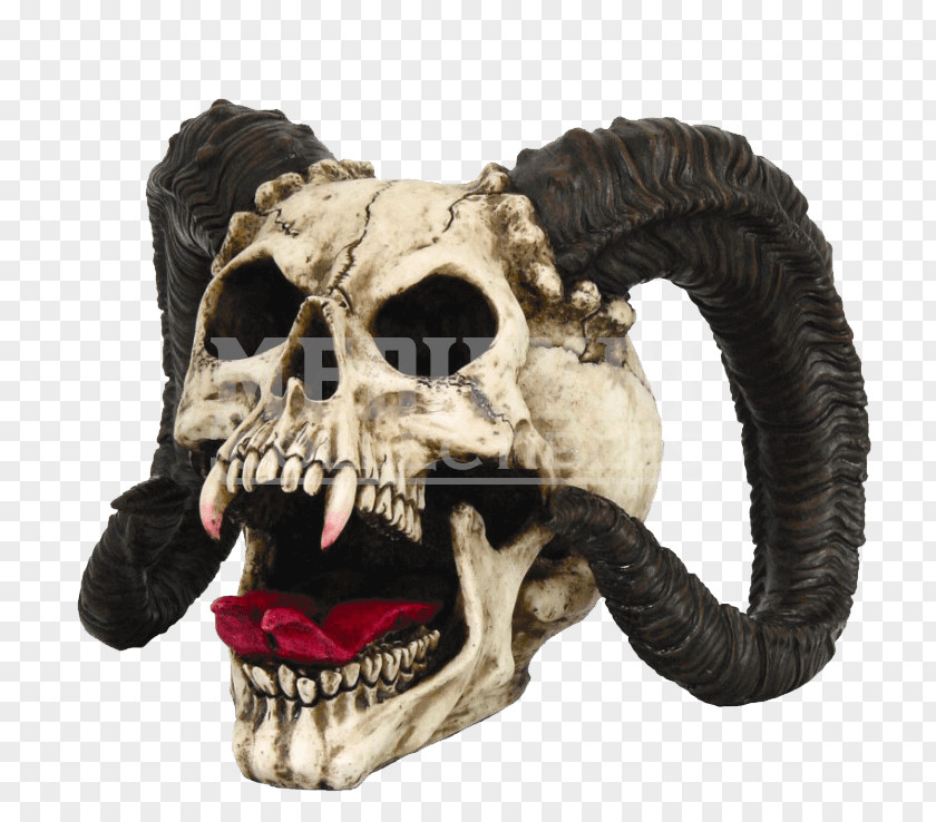 Demon Skull Figurine Statue Horn PNG