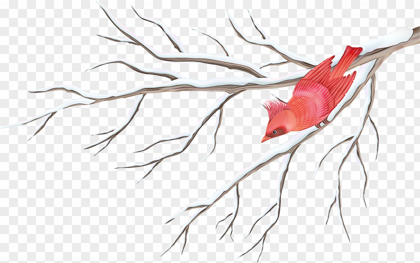 Hand Branch Feather PNG