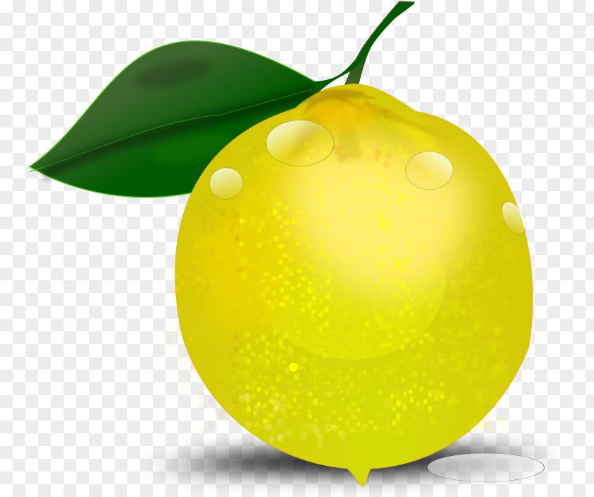 Natural Foods Accessory Fruit Lemon Tree PNG