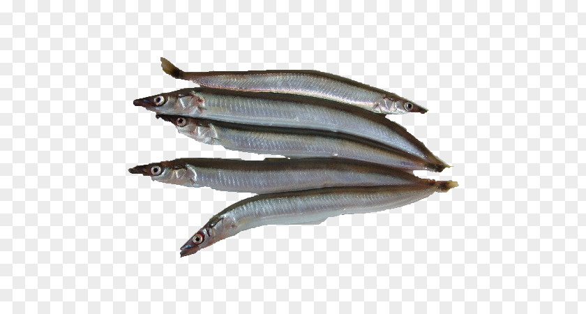 Bamboo Shoot Sardine Pacific Saury Fish Products Anchovies As Food Oily PNG