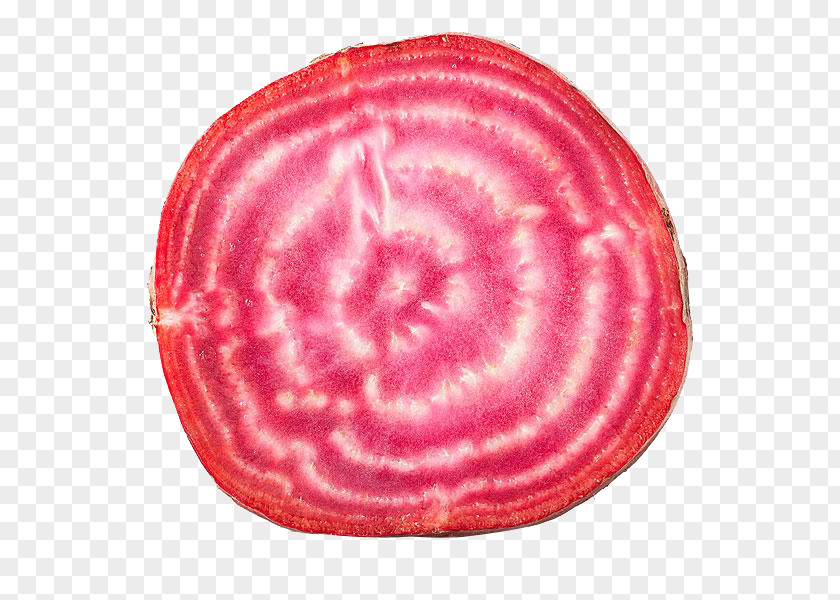 Beetroot Close-up Stock Photography Vegetable PNG