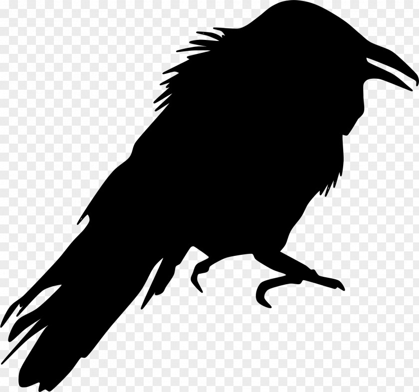 Crow Silhouette Bird Clip Art PNG