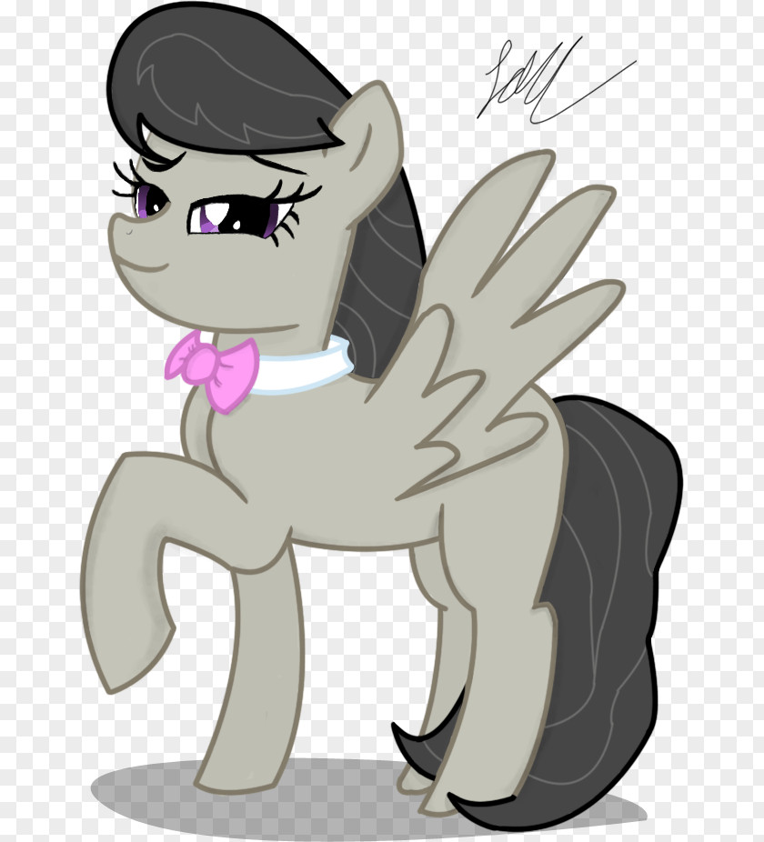 Horse Pony Cat Mammal Illustration PNG