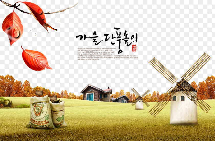 Landscape South Korea Autumn Poster Download Font PNG