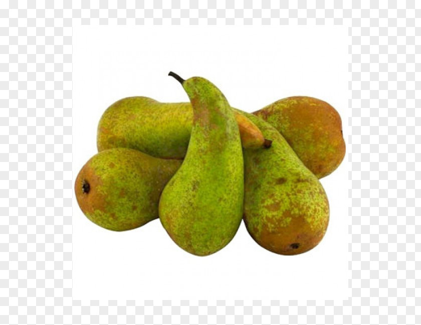 Pear Praline Chocolate Truffle White PNG