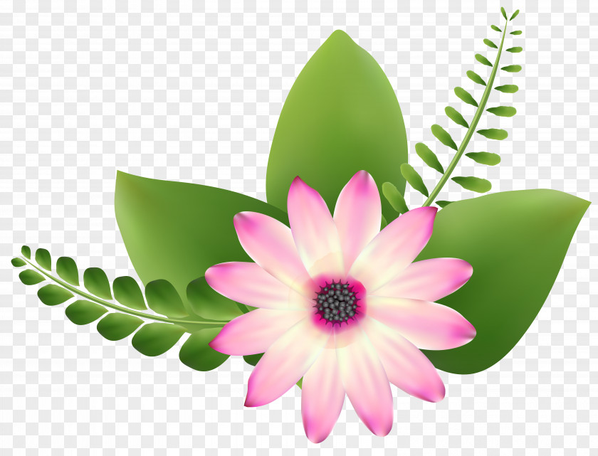 Pink Flower Clip-Art Image Art Clip PNG