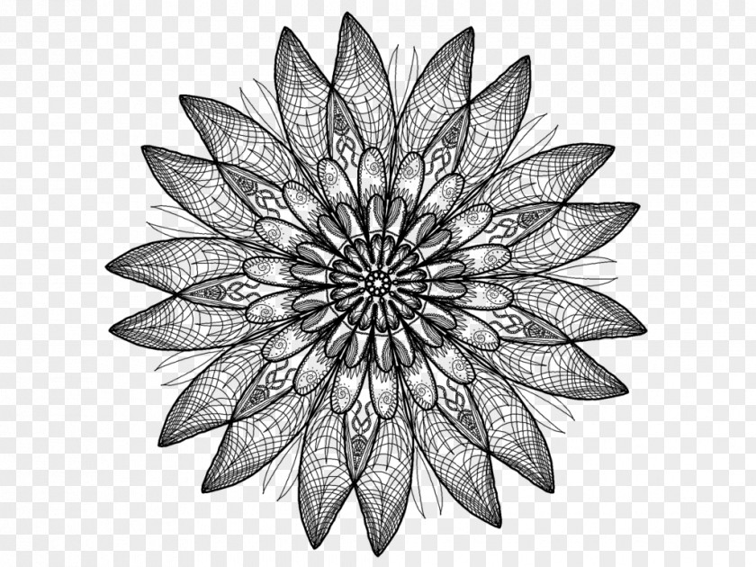 Symmetric Floral Symmetry Drawing PNG