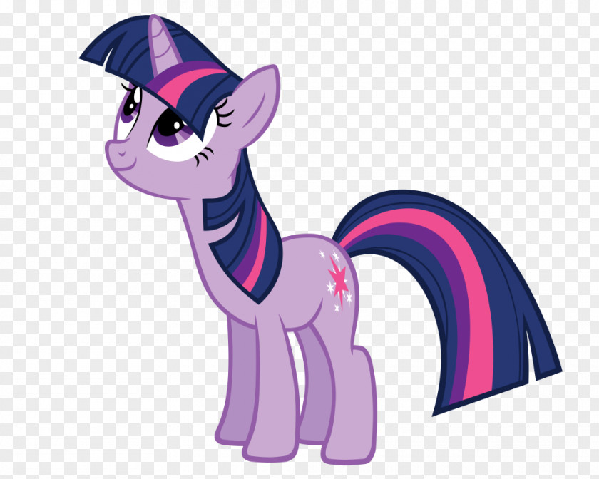 Twilight Sparkle Pony Rarity Princess Celestia Pinkie Pie PNG