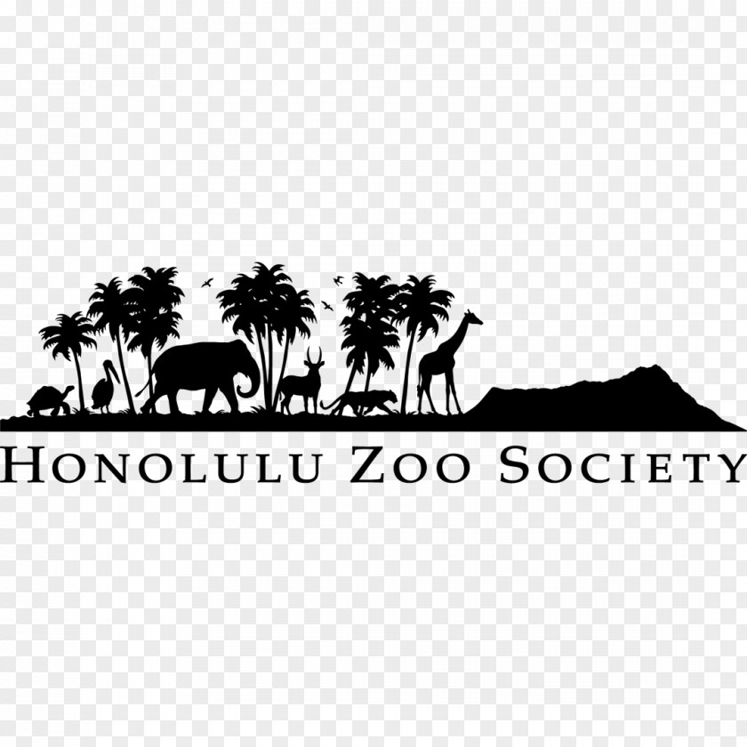 Zoo Honolulu Waikiki Sea Life Park Hawaii Public Aquarium PNG