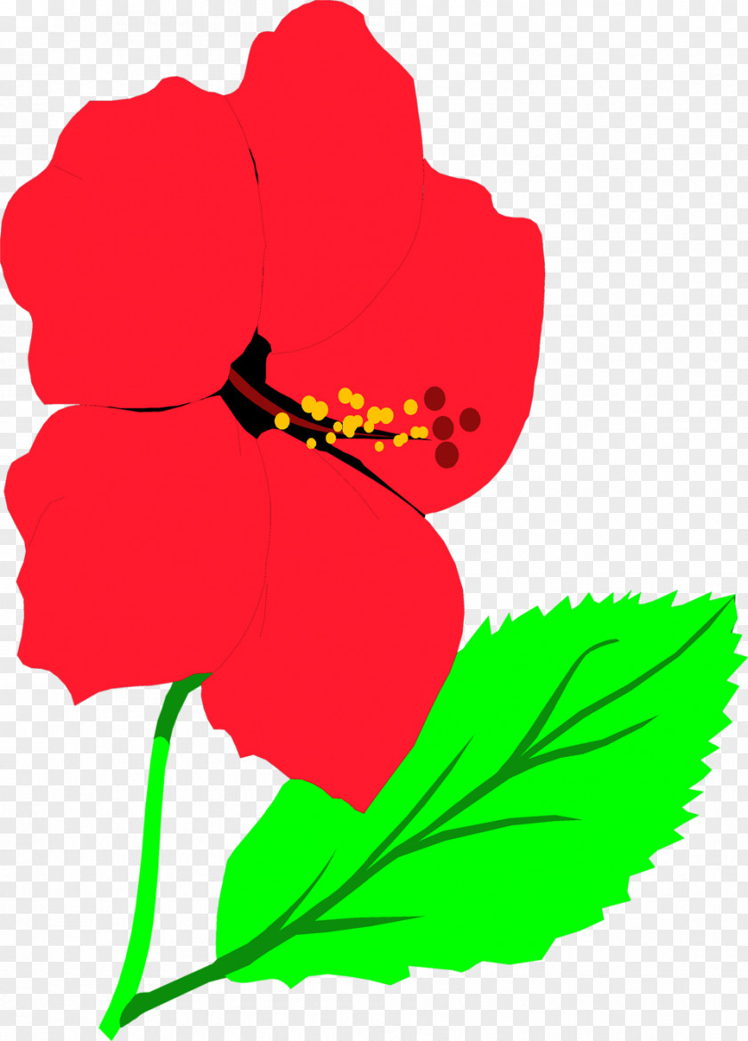 Hibiscus Animation Emotion Clip Art PNG