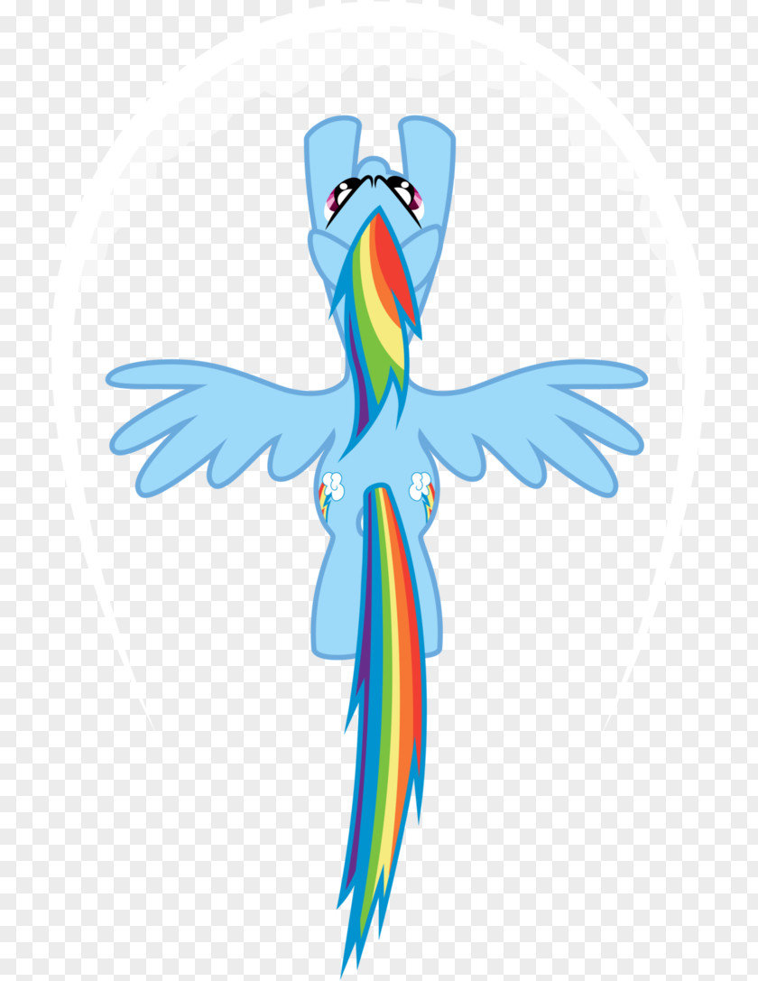 Rainbow Dash Applejack DeviantArt PNG