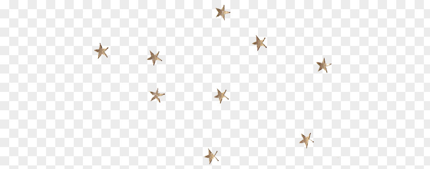 Star Party Gold Night Sky PNG