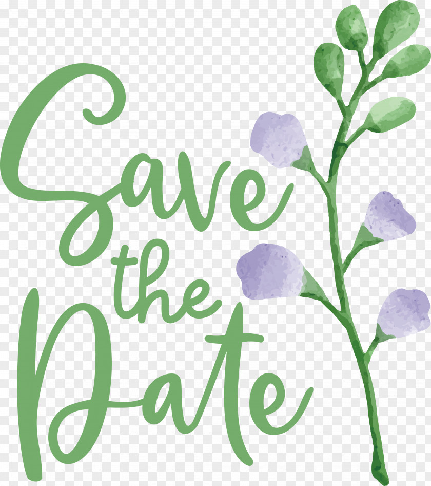 Floral Design PNG