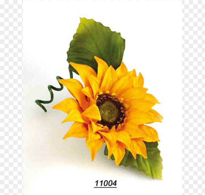 Flower Common Sunflower Floral Design Cut Flowers Seed PNG