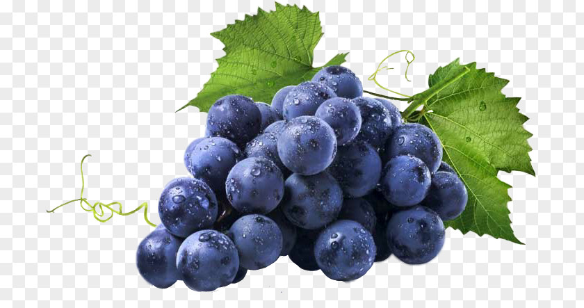 Grape Common Vine Wine Image Fruit PNG