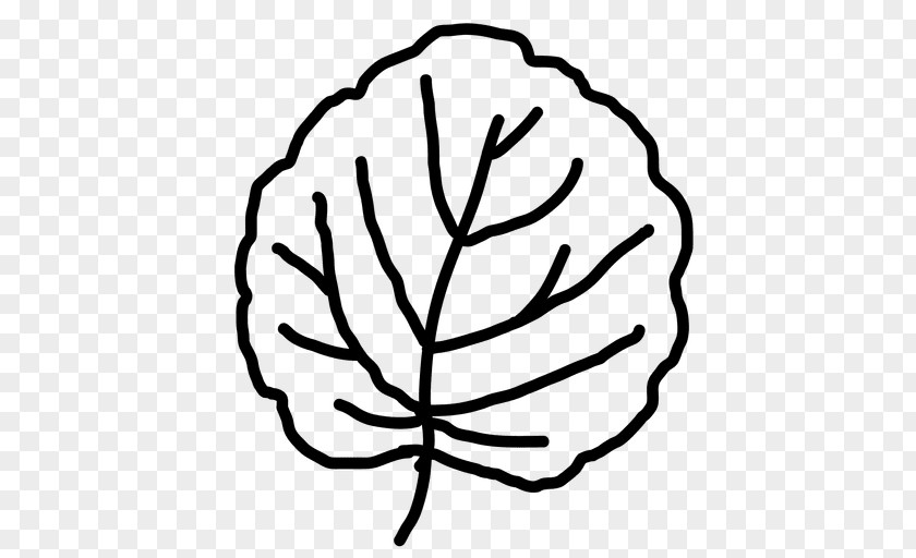 Leaf Branch Drawing Clip Art PNG