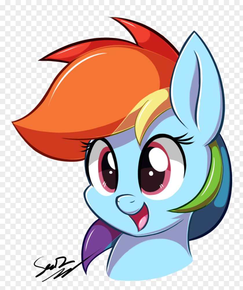 My Little Pony Rainbow Dash Rarity Pinkie Pie Twilight Sparkle PNG