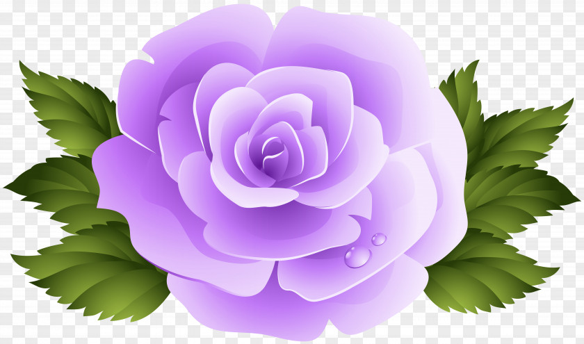 3d Rose Purple Violet Clip Art PNG