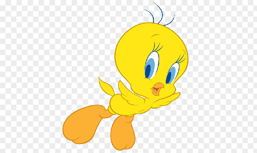 Bird Tweety Sylvester Cartoon PNG