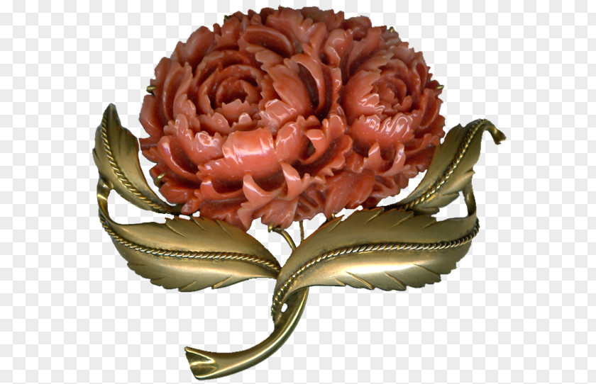 Corals Flower Clip Art PNG