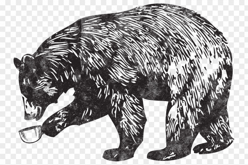 Sloth Bear Wildlife Cat Drawing PNG