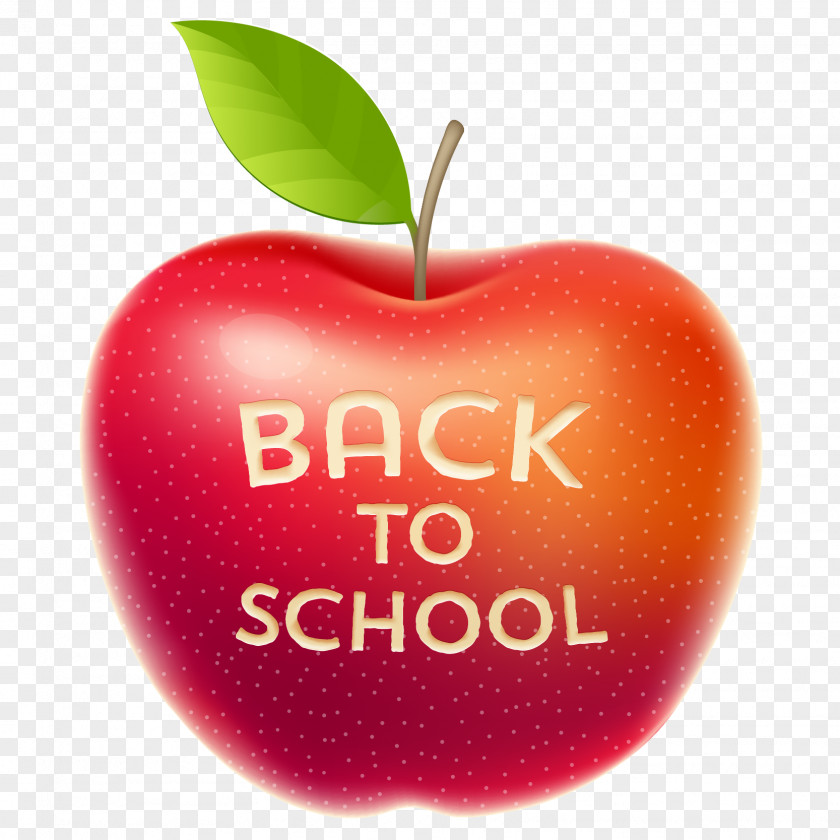 Vector Red Apple Material Student School Holiday PNG
