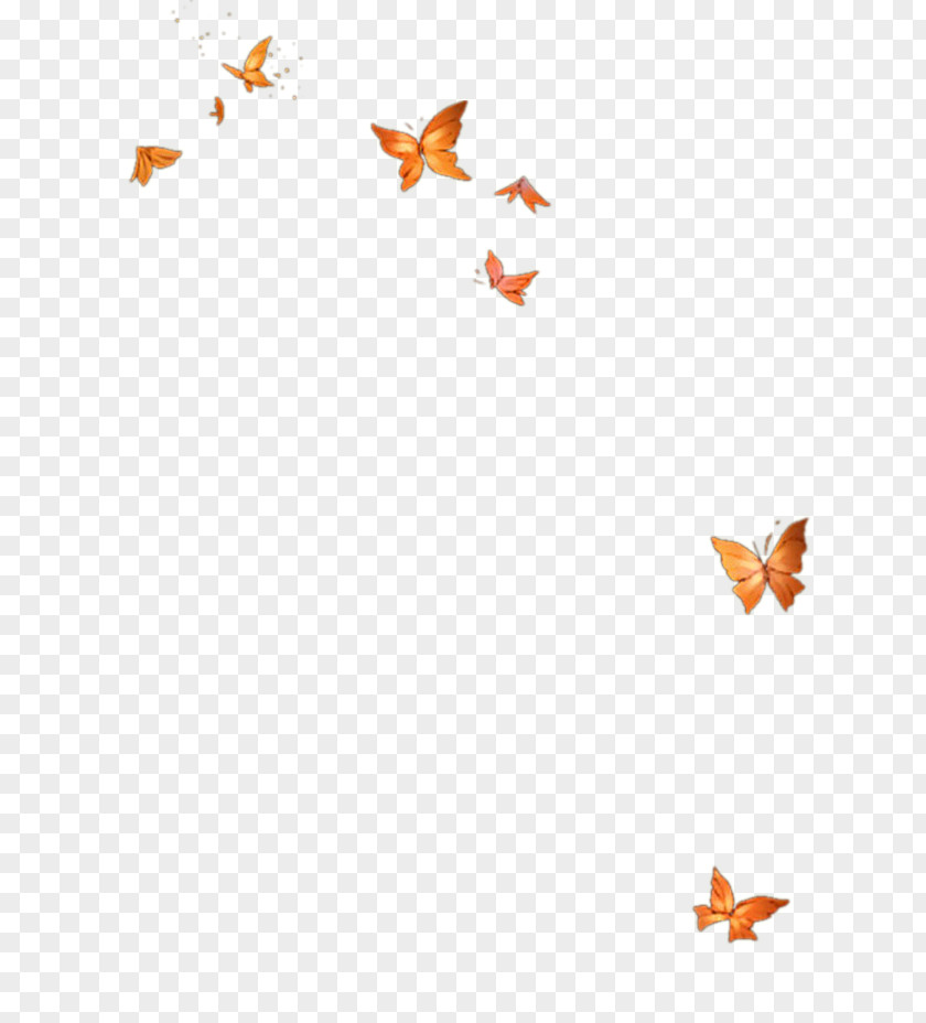 Butterfly Group Template Icon PNG