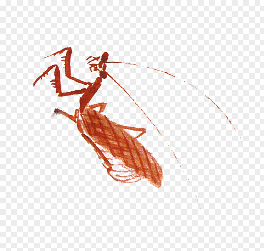 Decorative Pattern,insect Insect Mantis Euclidean Vector PNG