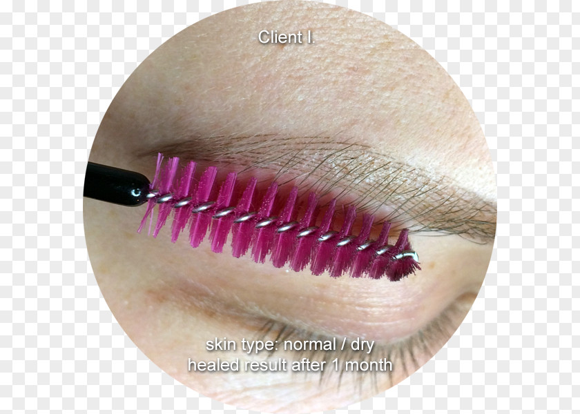 Microblading Professionals Theatre And Comedy At Kurfürstendamm Am StudioMicroblading Eyelash Extensions Face Couture PNG