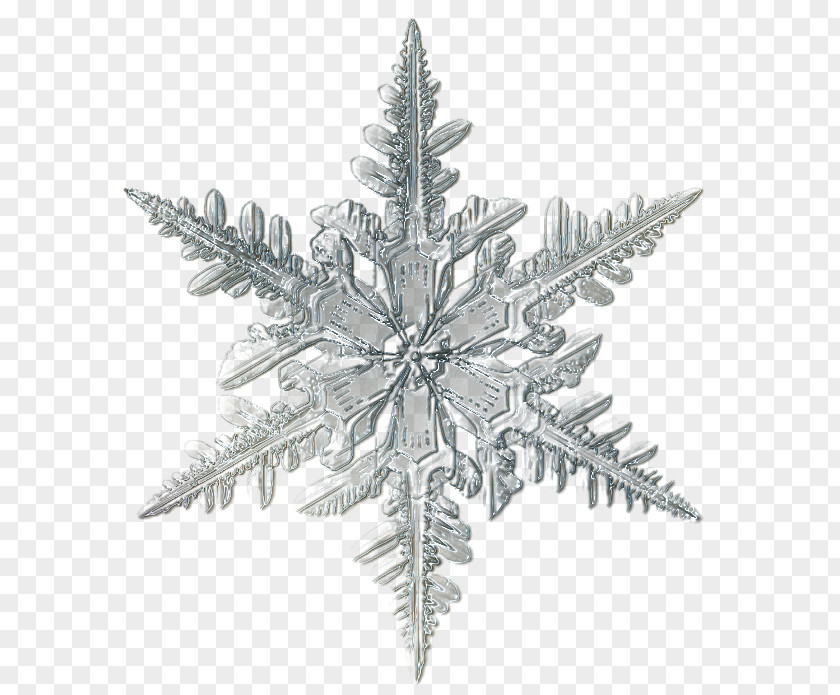 Christmas Snowflake Microscope Ice Crystal PNG