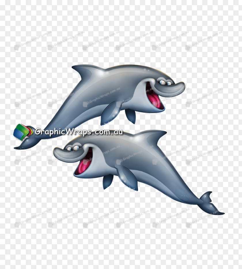 Dolphin Common Bottlenose Tucuxi Design Cartoon PNG