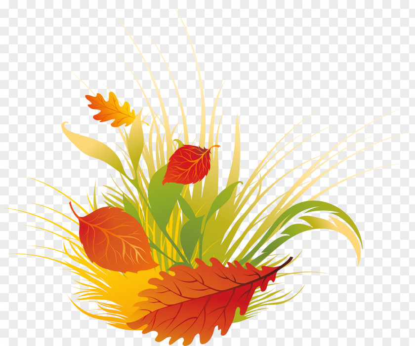 Leaf Autumn Petal Floral Design Desktop Wallpaper PNG