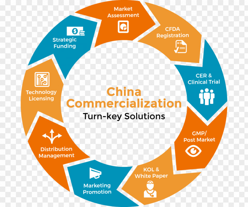 Rehabilitation Chart For Teeth Medicine Organization Marketing Commercialization Business PNG