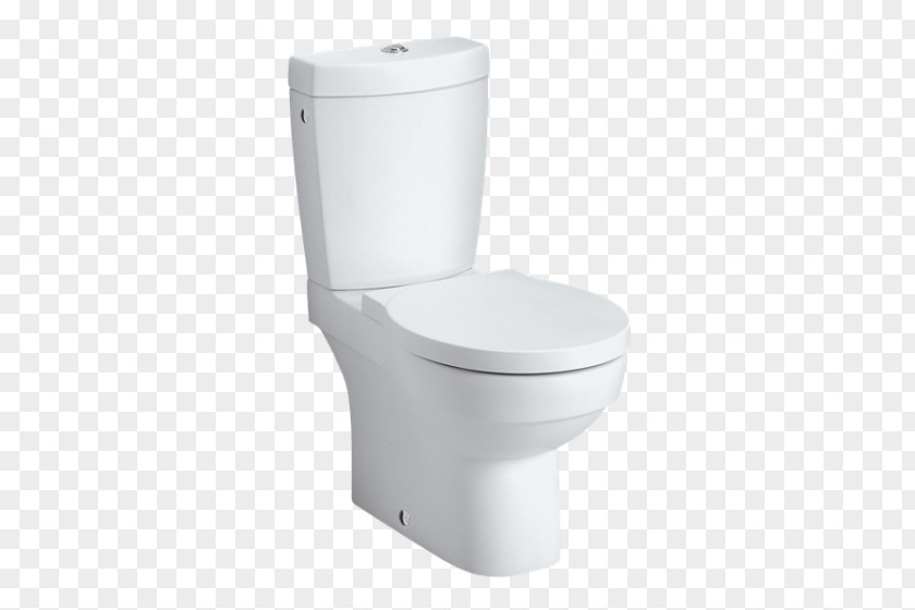 Toilet Flush Roca & Bidet Seats Bathroom PNG