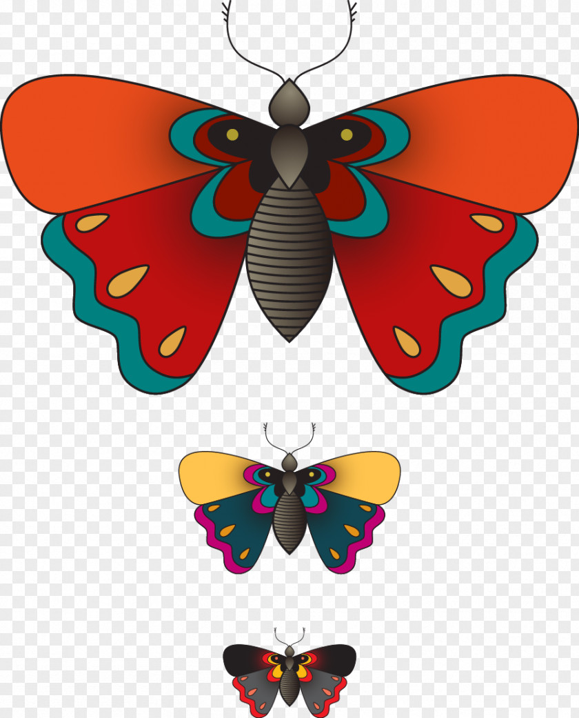 Vector Butterfly Monarch Illustration PNG