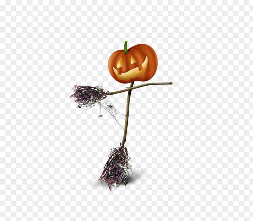 Vogelscheuche Scarecrow Desktop Wallpaper Halloween PNG