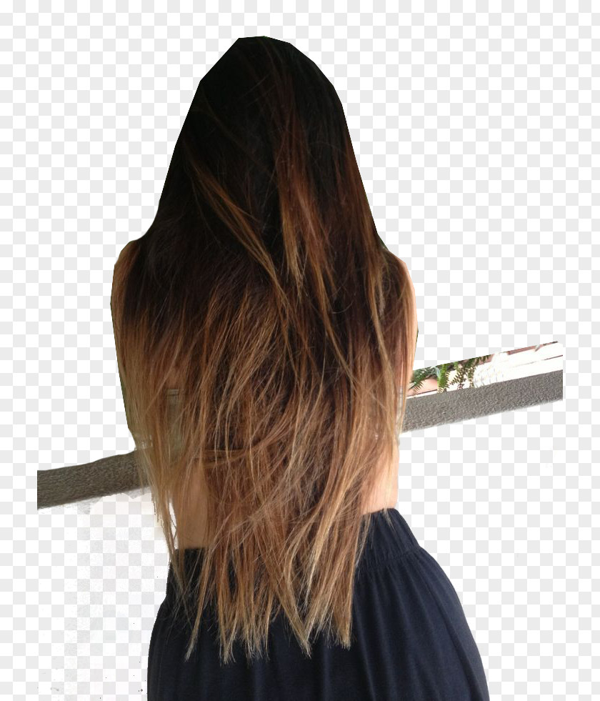 Hair Dip Dye Brown Ombré Blond PNG