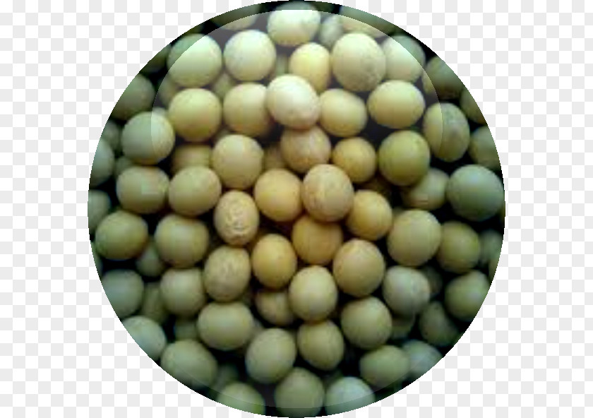 Papaya Cut Soy Milk Soybean Meal Seed Oil PNG