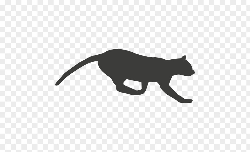 Sequntial Vector Cat Mammal Whiskers Carnivora Dog PNG
