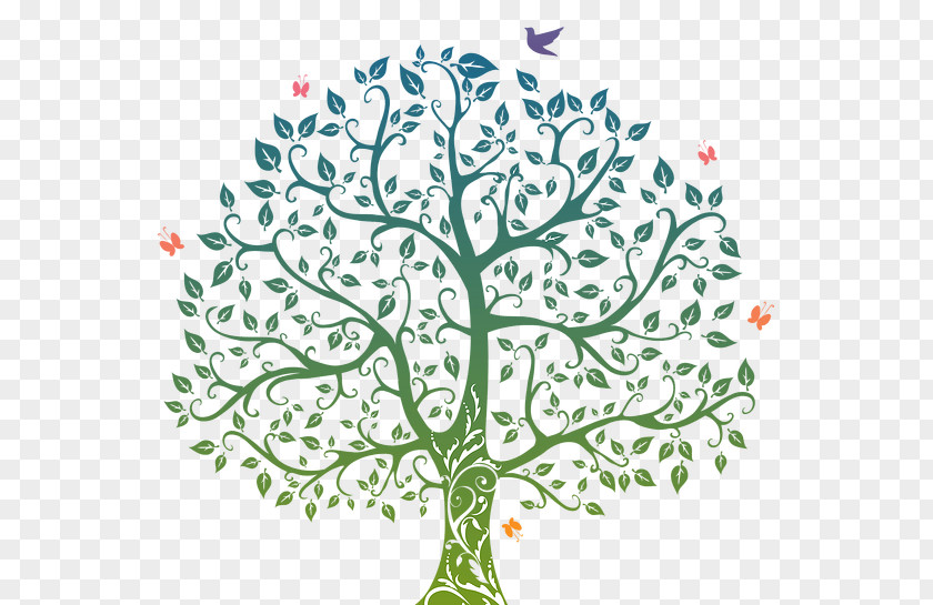 Tree Of Life Drawing Clip Art PNG