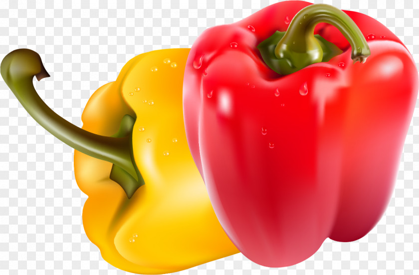 Vegetable Bell Pepper Chili Clip Art PNG